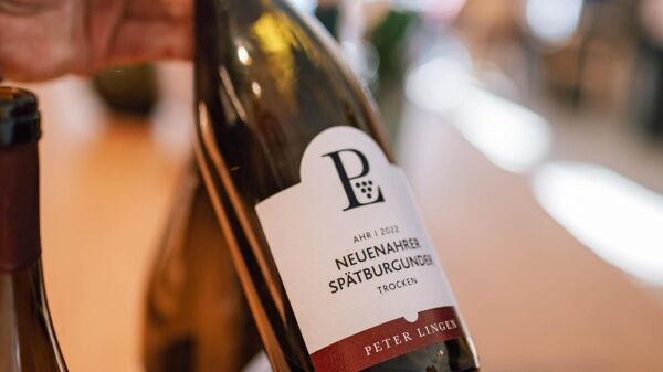 Weingut Peter Lingen, Bad Neuenahr-Ahrweiler